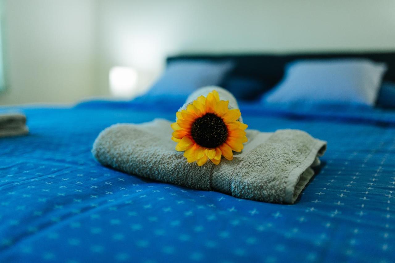 Sunflower Sombor Bagian luar foto